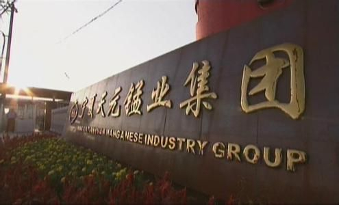 宁夏天元锰业有限公司